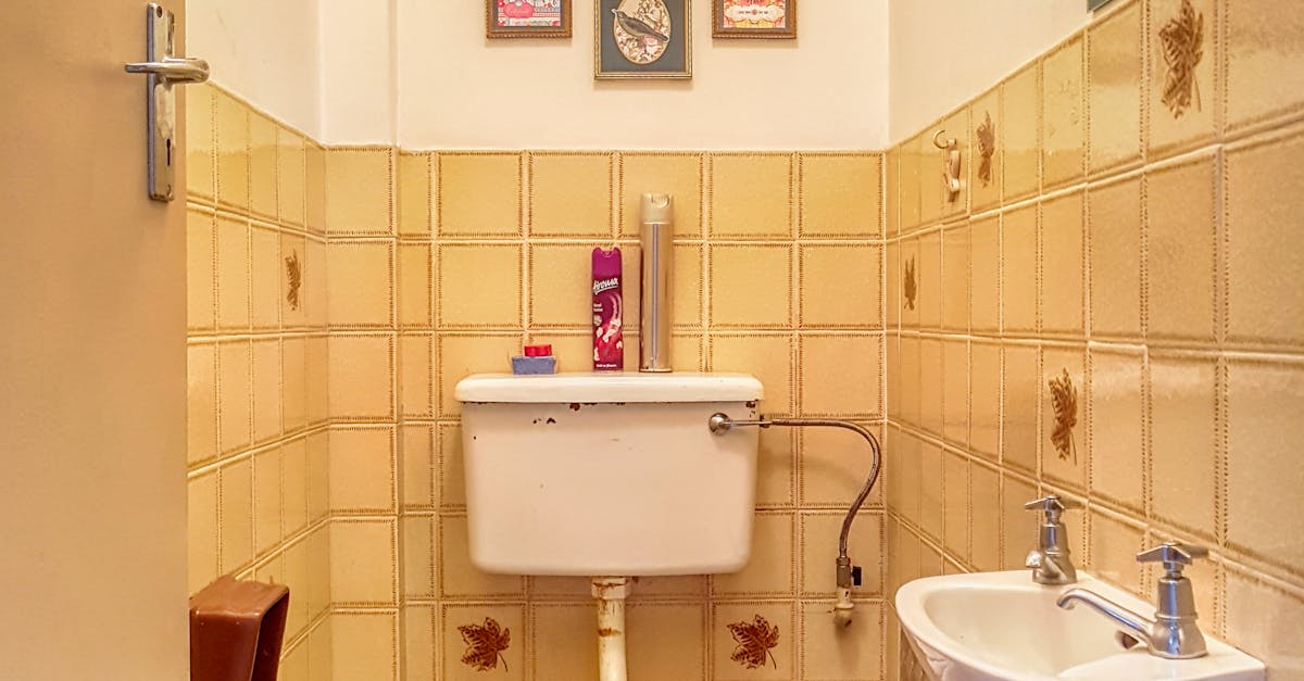 Pipe installation and repair